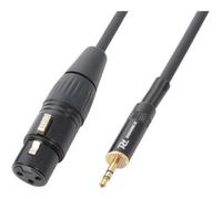 Câble audio XLR F - PD Connex - 0,5m - Stéréo - Connecteur Jack 3,5 - Qualité professionnelle