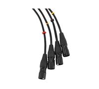Câble Blindé RJ45 CAT5 Vers Connecteurs Mâles XLR 3 Broches à 4 Canaux, Câble Récepteur Multi-Réseau pour Studio de Scène
