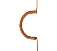 Câble d'alimentation Bachmann 684.880 Orange 2,5 m (684.880)