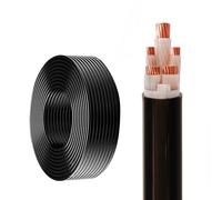Câble D'alimentation YJV - Extérieur Isolé En PVC For Bornes De Recharge Véhicules Électriques Et Usage Industriel, Résistant Aux Intempéries Haute Durabilité(100ft,10mm²-2C)