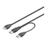 Wentronic Câble USB 2 fiches A / Prise A 0,3m