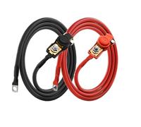 Câble de batterie D2 en cuivre pur 10AWG, bornes positives et négatives.(10AWG2m)