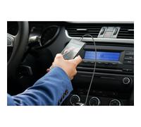 Câble de connexion audio AUX, stéréo 3,5 mm 65275/3 m
