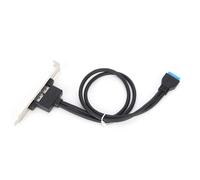 Câble de déflecteur Double USB, carte mère 19 broches vers Double Port A femelle, support de panneau arrière d'extension noir