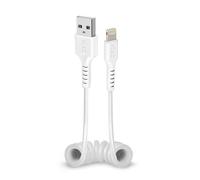 Câble de données USB - Apple Lightning Blanc
