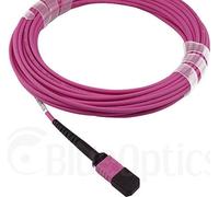 Câble de jonction fibre optique compatible Dell EMC CBL-MPO12-OM4-20M BlueOptics, MPO/UPC à MPO/UPC, 20 mètres, multimode G50/125µm, OM4, perte d'insertion : inférieure à 0.3dB, fibre de marque, 3.0mm