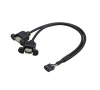Câble de montage sur panneau de verrouillage à vis interne de la carte mère, pas de 9 broches interne de 2.54mm à double Port USB 2.0 A femelle, 30cm