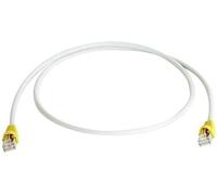 Câble de raccordement réseau informatique RJ45 (croisé) Telegärtner 100007985 CAT 6a S/FTP gris 0.50 m