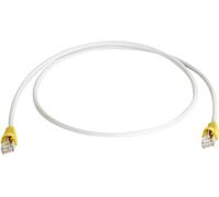 Câble de raccordement réseau informatique RJ45 (croisé) Telegärtner 100008987 CAT 6a S/FTP gris 10.00 m