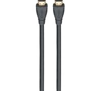 Câble de raccordement Rutenbeck HDMI Fiche mâle HDMI-A, Fiche mâle HDMI-A 5.00 m 21810005 Câble HDMI