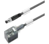 Câble de raccordement Weidmüller SAIL-VSBD-M8G-3-3.0U 1099770300 1 pc(s)