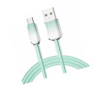 câble de remplissage d'adaptateurs de 120W USB C avec-USBTC vert