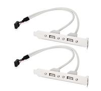 Câble de support de carte mère 2 ports USB 2.0 jusqu'à 9 broches pour panneau d'ordinateur, adaptateur 9 broches pour PC