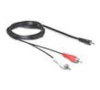 Delock - Câble audio - RCA x 2 mâle pour mini-phone stereo 3.5 mm mâle - 10 m - noir