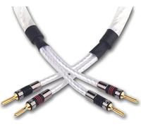 Câble d'enceintes prémonté QED Genesis Silver Spiral (2 x 2 m)