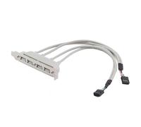 Câble d'extension USB 2.0, rallonge de Panneau de Carte mère 4 Ports, câble d'interface Haute Vitesse de 30 cm avec 480 Mbps, connecteur USB avec Signal Stable, Accessoire Informatique pour