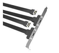 Câble d'extension USB 3.1 de type C pour panneau avant C 10 Gbit/s