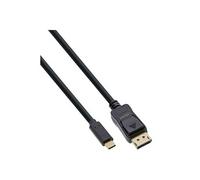 InLine - Câble DisplayPort - USB-C (M) pour DisplayPort (M) - USB 3.1 Gen 1 / Thunderbolt 3 / DisplayPort 1.2 - 3 m - support 4K - noir