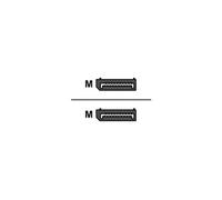 - Câble DisplayPort - DisplayPort (M) pour DisplayPort (M) - 50 cm