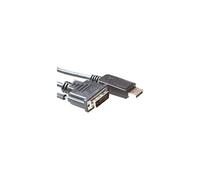 - Câble DisplayPort - DisplayPort (M) pour DVI-D (M) - 5 m