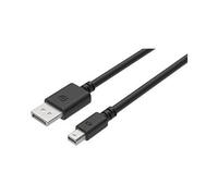 - Câble DisplayPort - DisplayPort (M) pour Mini DisplayPort (M) - 1 m
