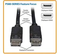 Tripp Lite Câble DisplayPort P580-010 3,05 m Mâle-Mâle Noir