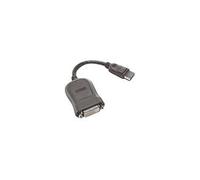 - Câble DisplayPort - liaison simple - DisplayPort (M) pour DVI-D (F) - 20 cm