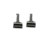 Câble DisplayPort mâle/mâle (1 mètre)