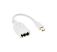 InLine 17150 W Câble Adaptateur Mini DisplayPort mâle vers DisplayPort Femelle, 4 K2 k, 0.15 m Blanc