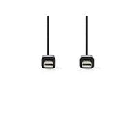 - Câble DisplayPort - Mini DisplayPort (M) pour Mini DisplayPort (M) - 1 m - rond - noir