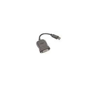 - Câble DVI - liaison simple - DisplayPort (M) pour DVI-D (F) - 20 cm - gris