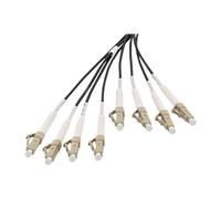 - Câble éclaté - LC/UPC multimode (P) pour LC/UPC multimode (P) - 30 m - fibre optique - 50 / 125 microns - OM4 - sans halogène, intérieur/extérieur