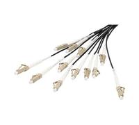 - Câble éclaté - LC/UPC multimode (P) pour LC/UPC multimode (P) - 30 m - fibre optique - 50 / 125 microns - OM4 - sans halogène, intérieur/extérieur