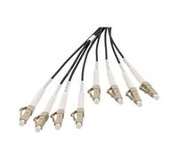 - Câble éclaté - LC/UPC multimode (P) pour LC/UPC multimode (P) - 50 m - fibre optique - 50 / 125 microns - OM4 - sans halogène, intérieur/extérieur