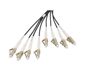 - Câble éclaté - LC/UPC multimode (P) pour LC/UPC multimode (P) - 50 m - fibre optique - 50 / 125 microns - OM4 - sans halogène, intérieur/extérieur