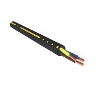 Câble électrique rigide R2V 3G2,5 mm² 50m noir