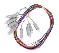 Câble en Queue de Cochon Multimode à Coque en PVC avec Noyaux en Céramique SC/UPC à 12 Pôles pour Types de Réseaux Locaux à Fibre Optique