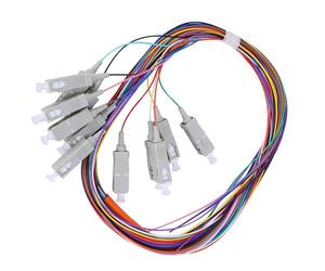 Câble en Queue de Cochon Multimode à Coque en PVC avec Noyaux en Céramique SC/UPC à 12 Pôles pour Types de Réseaux Locaux à Fibre Optique