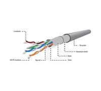 Gembird - Câble en vrac - 305 m - FTP - CAT 5e - bloqué - gris