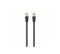 Câble Ethernet LAN CAT 8.1 Ewent - 2 m G