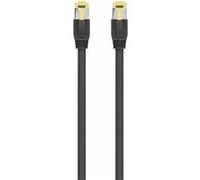Câble Ethernet LAN CAT 8.1 Ewent G