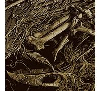 Cable - Failed Convict