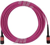 Câble fibre optique compatible HPE PremierFlex QK729A BlueOptics, MPO/UPC à MPO/UPC, 10 mètres, multimode G50/125µm, OM4, perte d'insertion : inférieure à 0.3dB, fibre de marque, 3.0mm LSZH magenta, 1