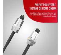 Câble fibre optique Monster 1.5 m Argent