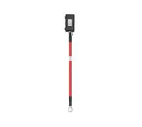 Câble Fusible pour Chargeur d'Alternateur EcoFlow