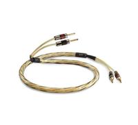 QED Câbles d'enceintes Golden Anniversary XT 1 m