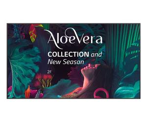 Câble HDMI de haute qualité pour LG 75UH5N-M.AEU