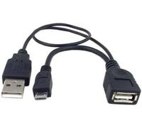 Câble Hôte Otg Usb Host Câble De Données 30 Cm 2 En 1 Pour Samsung Galaxy Y Duos S6102 Corby Ii S3850 S Advance I9070 Pocket[Z1839]