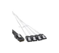 - Câble interne SAS - crossover - 4 voies - SATA pour 4i Mini MultiLane 36 broches - 75 cm