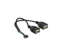 DeLOCK Connecteur USB 2.0 femelle 2,00 mm 10 broches > 2 x USB-A 2.0 femelle, Câble en Y